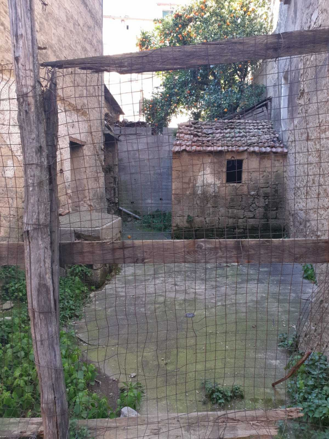 immagine annuncio 3 di 7