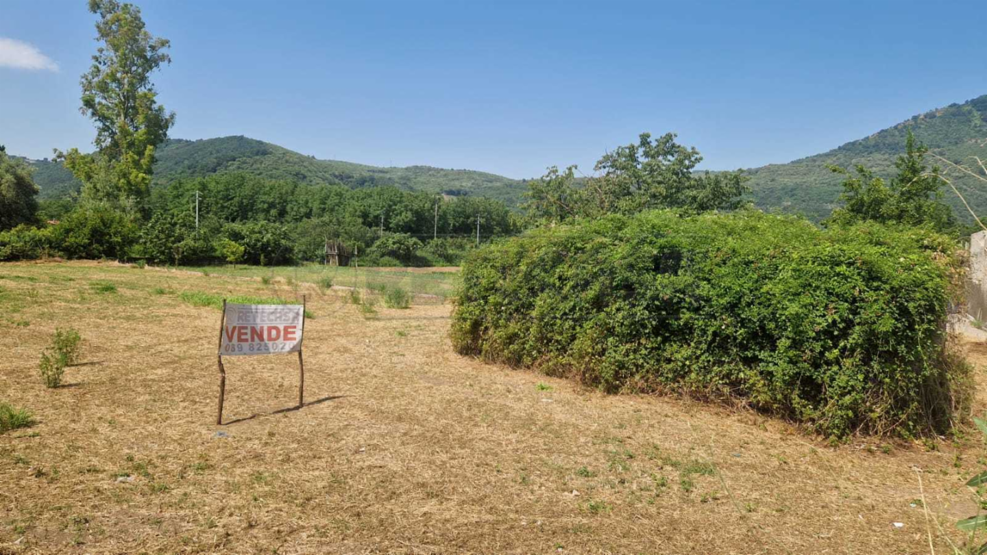 immagine annuncio 4 di 6