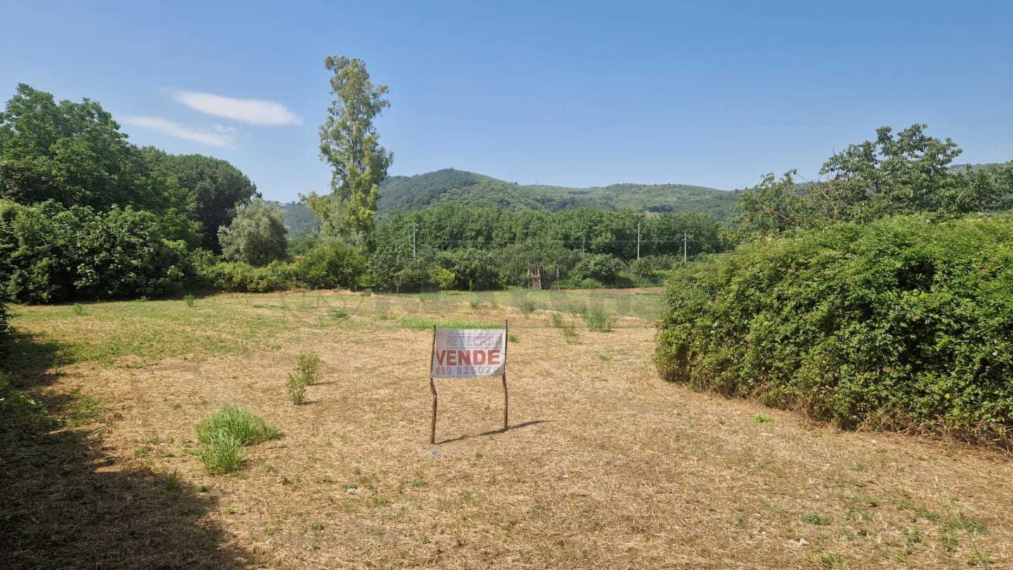 immagine annuncio 3 di 6