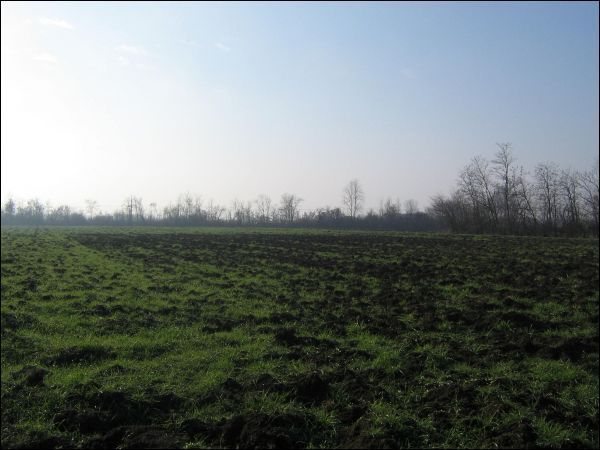 casale in vendita a Noceto