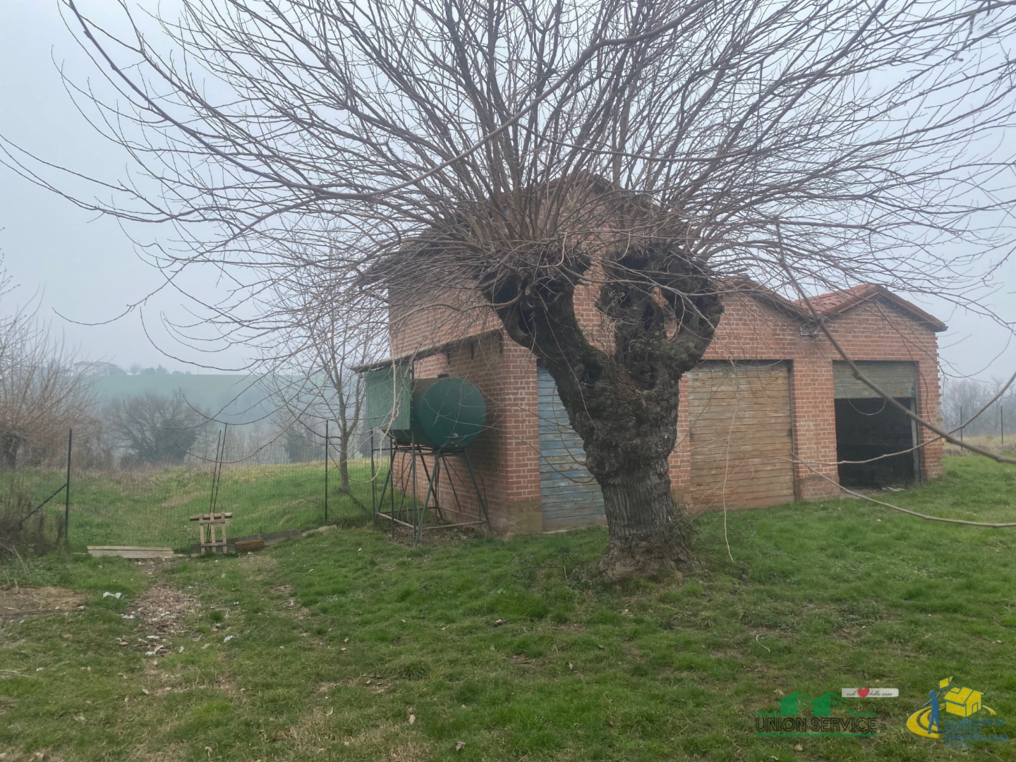 immagine annuncio 3 di 9