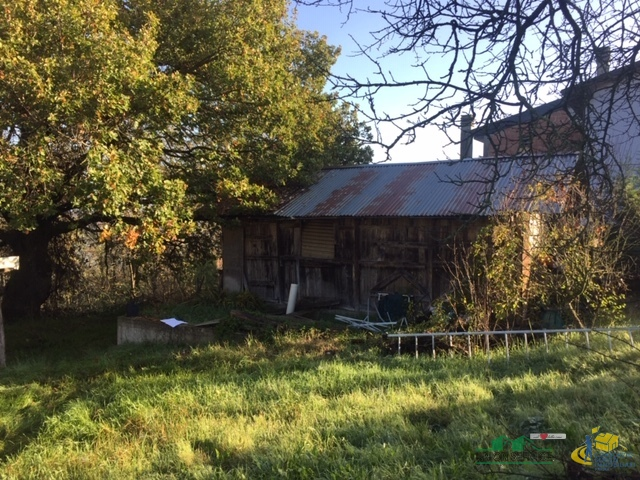 immagine annuncio 4 di 8