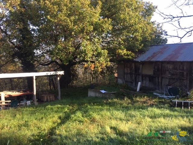 immagine annuncio 3 di 8