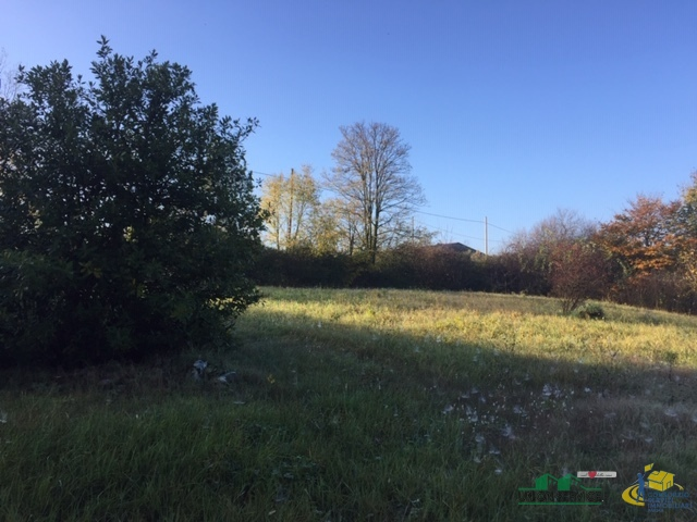 immagine annuncio 1 di 8