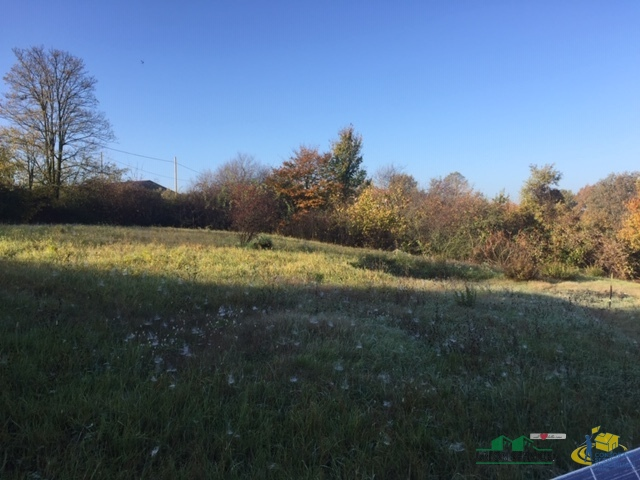 immagine annuncio 2 di 8