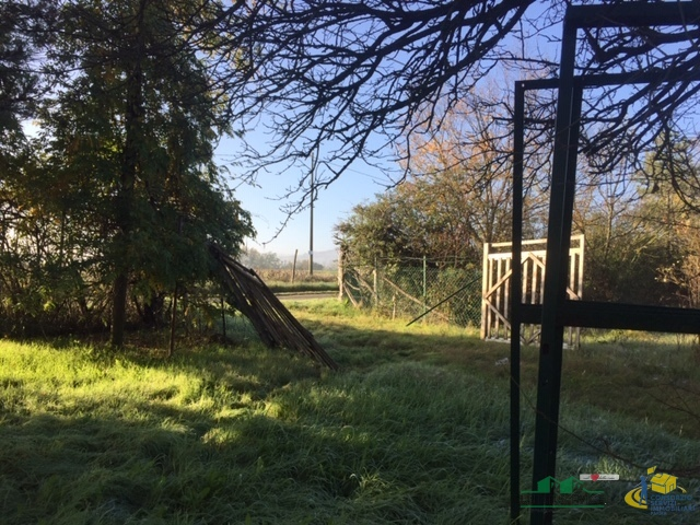 immagine annuncio 5 di 8