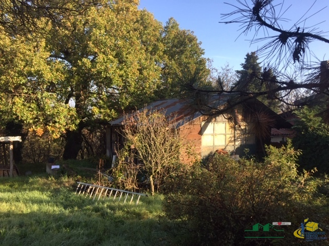 immagine annuncio 6 di 8