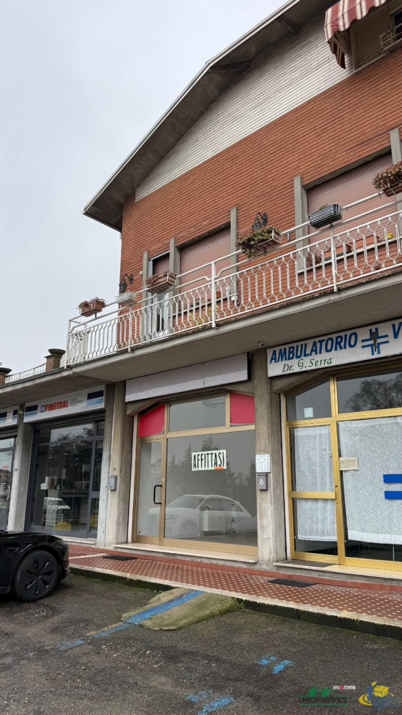 immagine annuncio 1 di 7