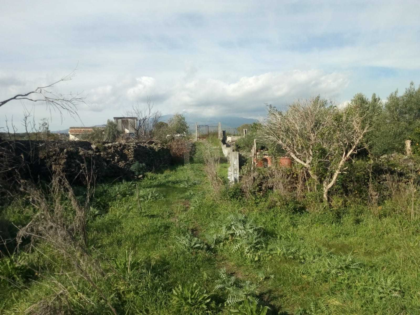 immagine annuncio 3 di 4