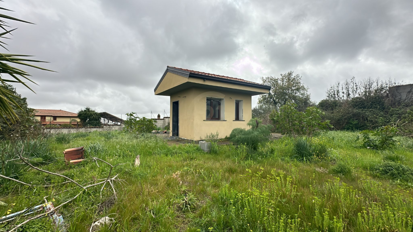 immagine annuncio 1 di 9