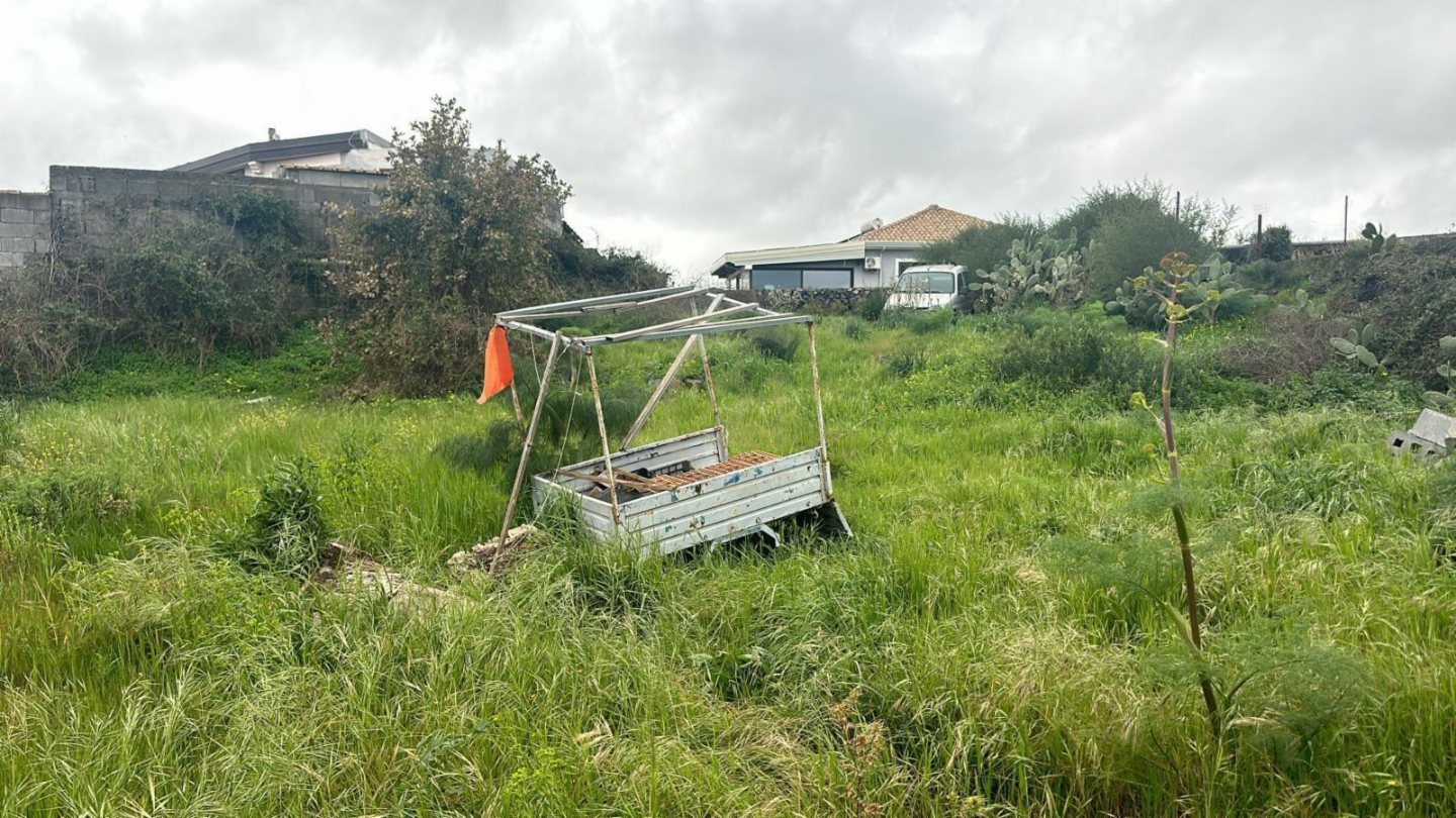 immagine annuncio 3 di 9