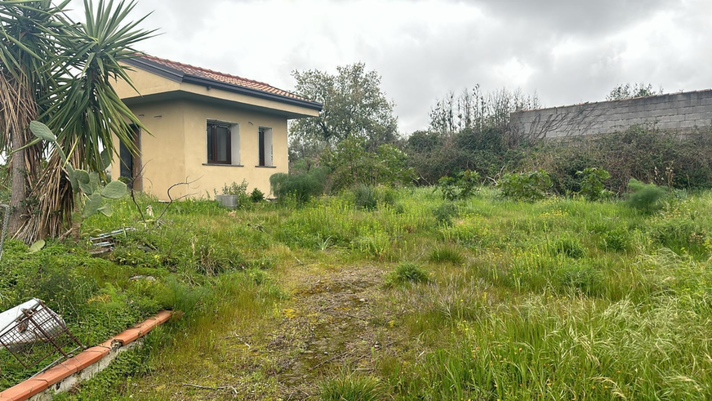 immagine annuncio 5 di 9