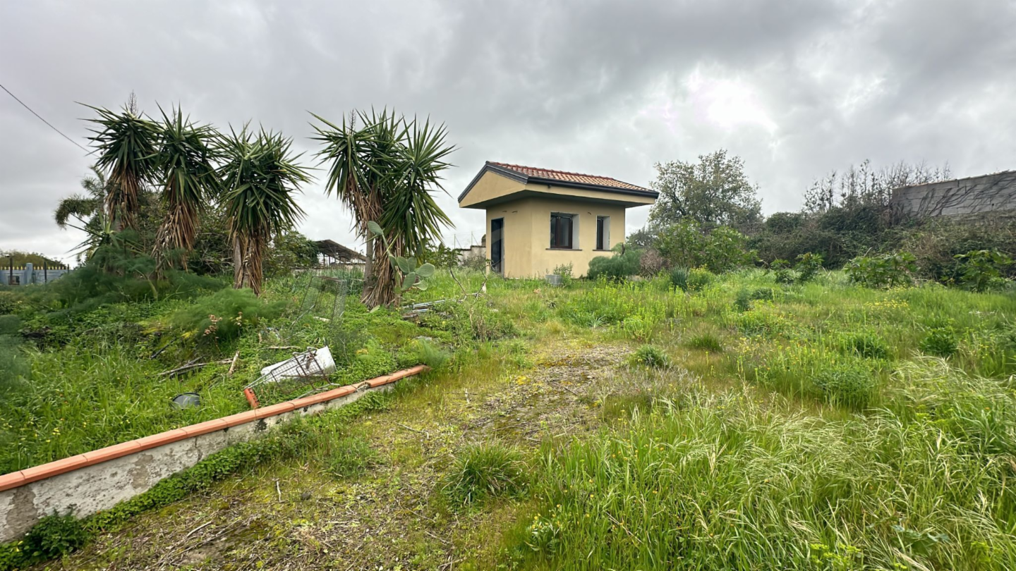 immagine annuncio 7 di 9