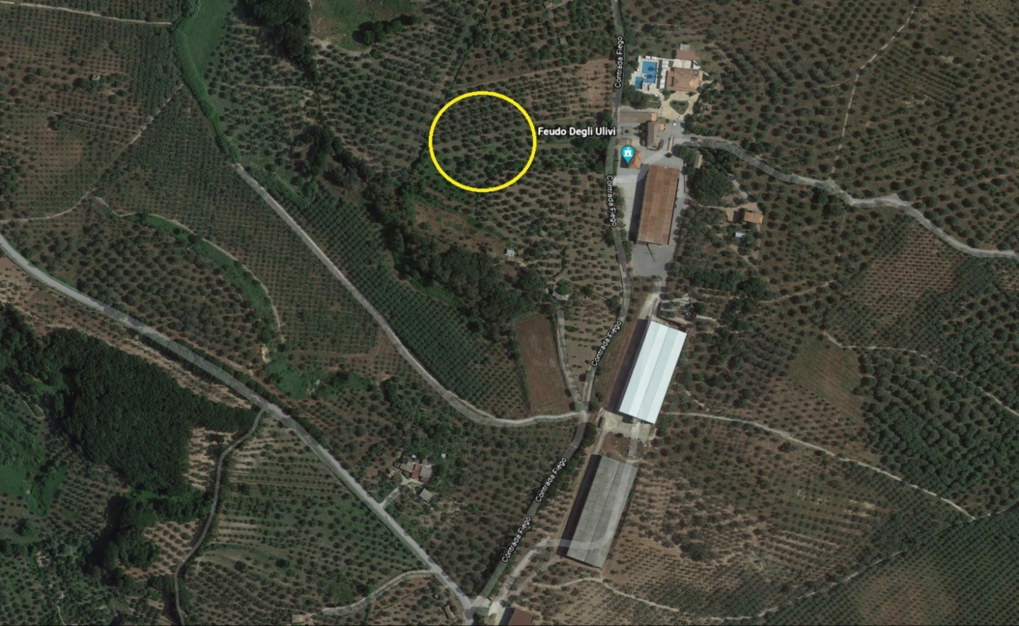 immagine annuncio 2 di 8