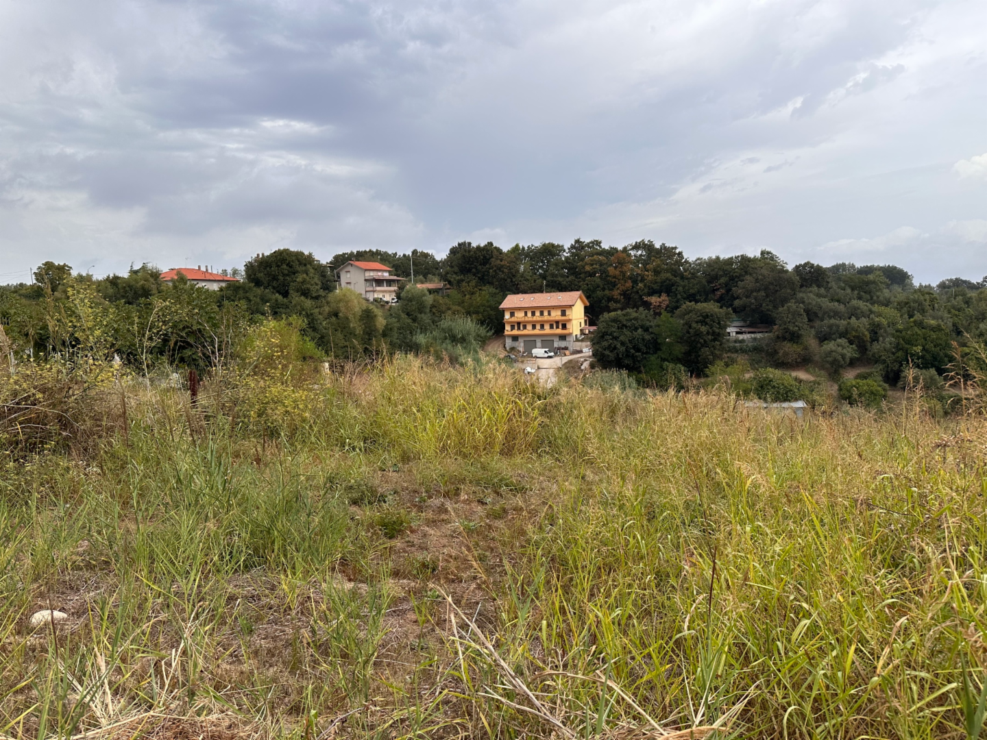 immagine annuncio 2 di 7