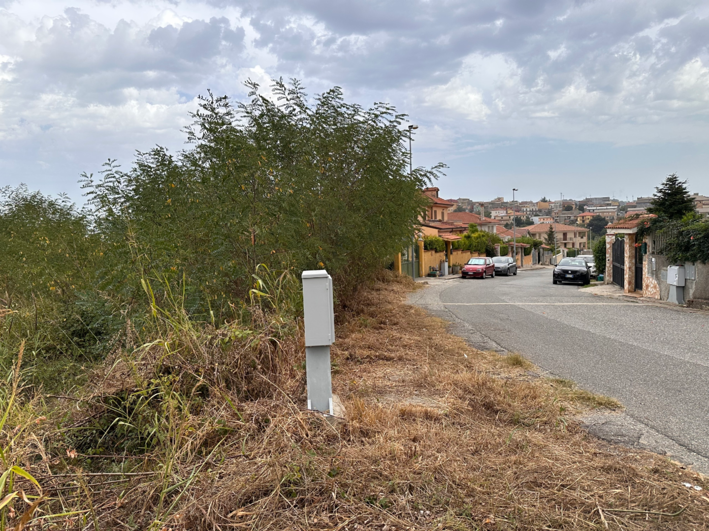 immagine annuncio 3 di 7