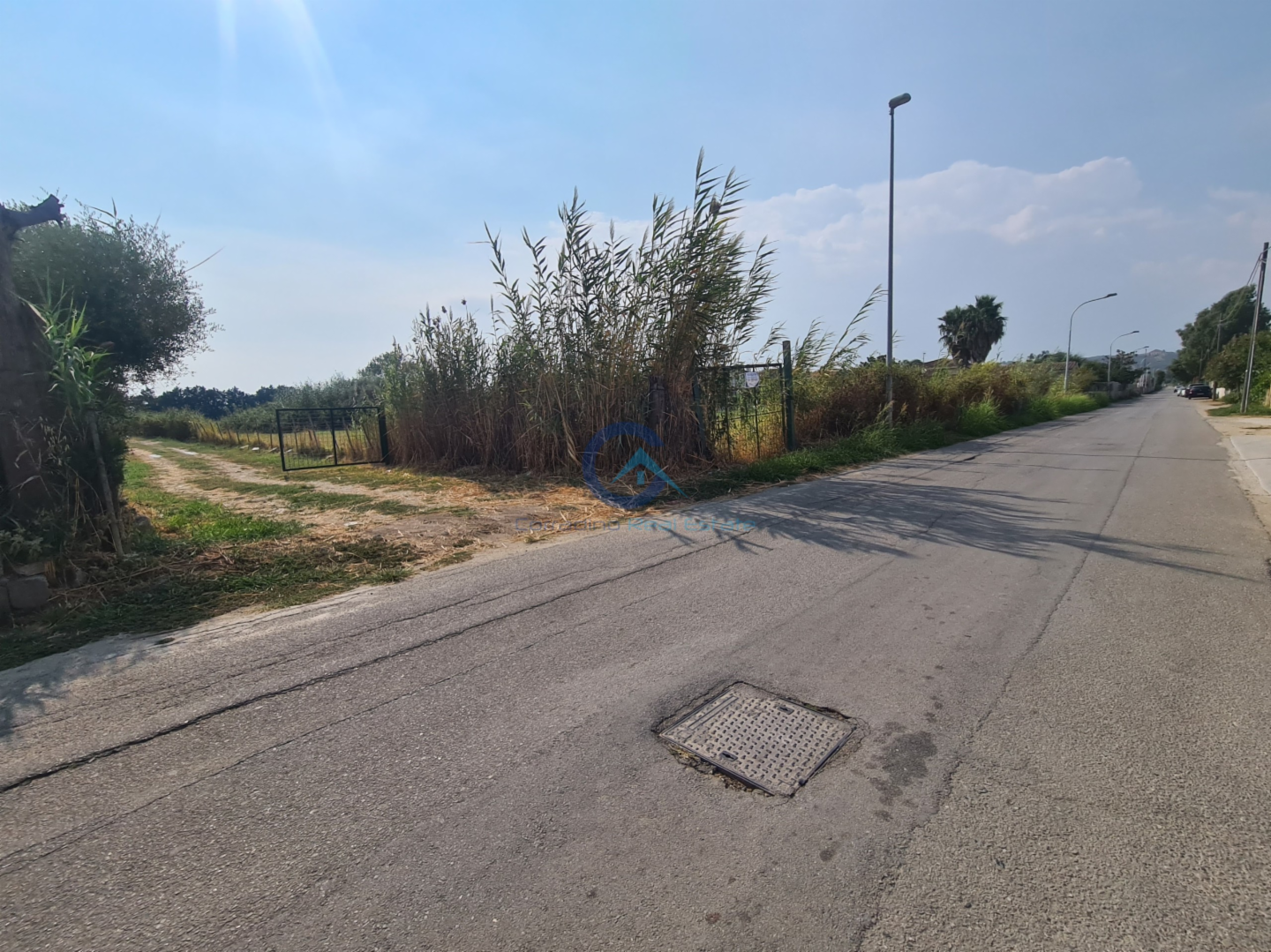 immagine annuncio 4 di 7