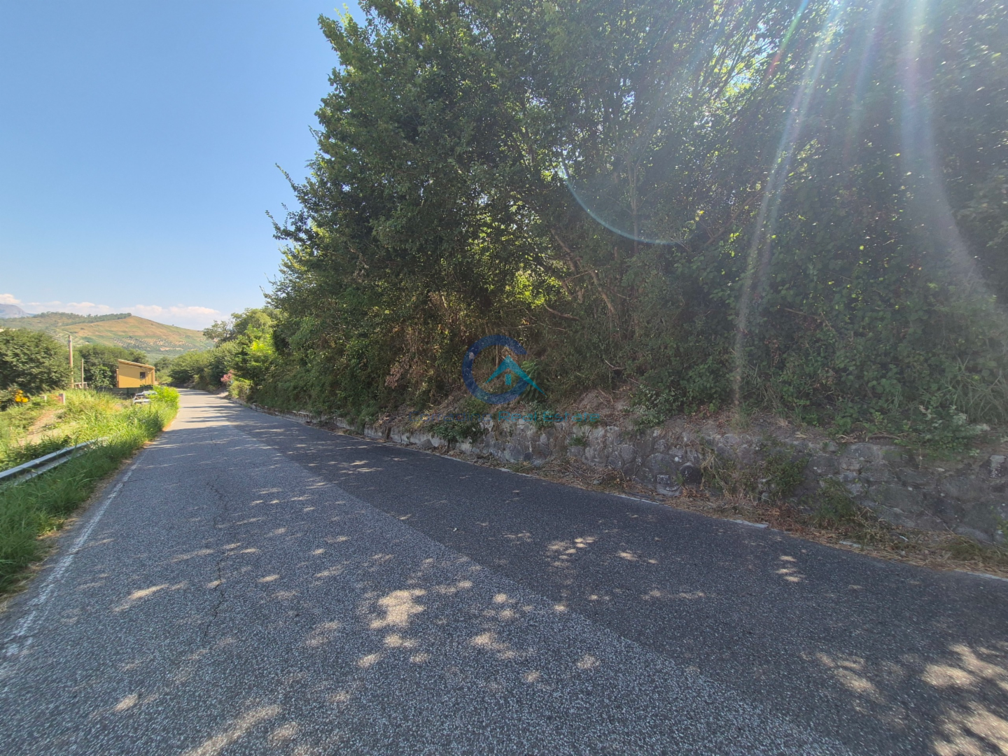 immagine annuncio 3 di 6