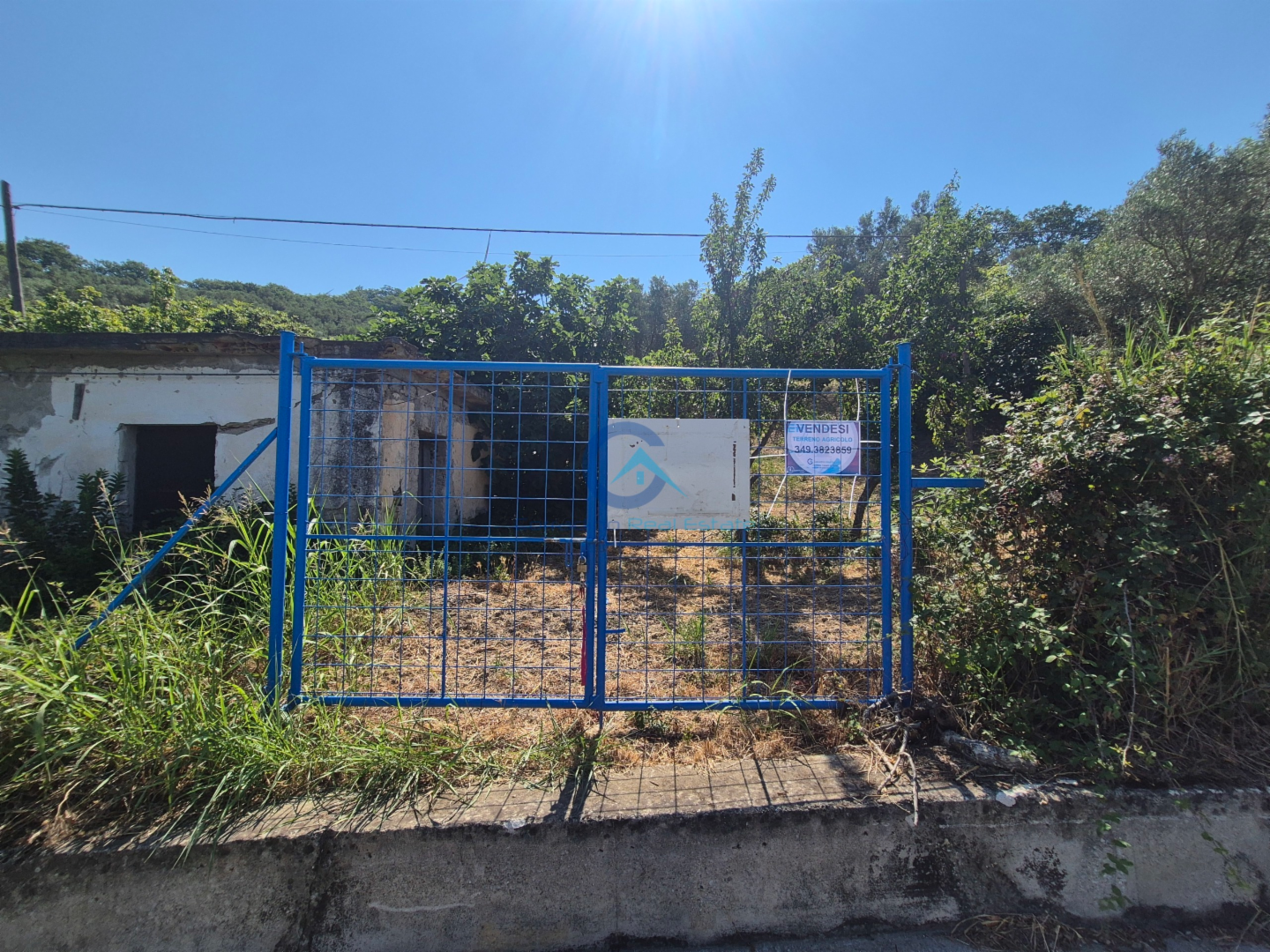 immagine annuncio 4 di 6