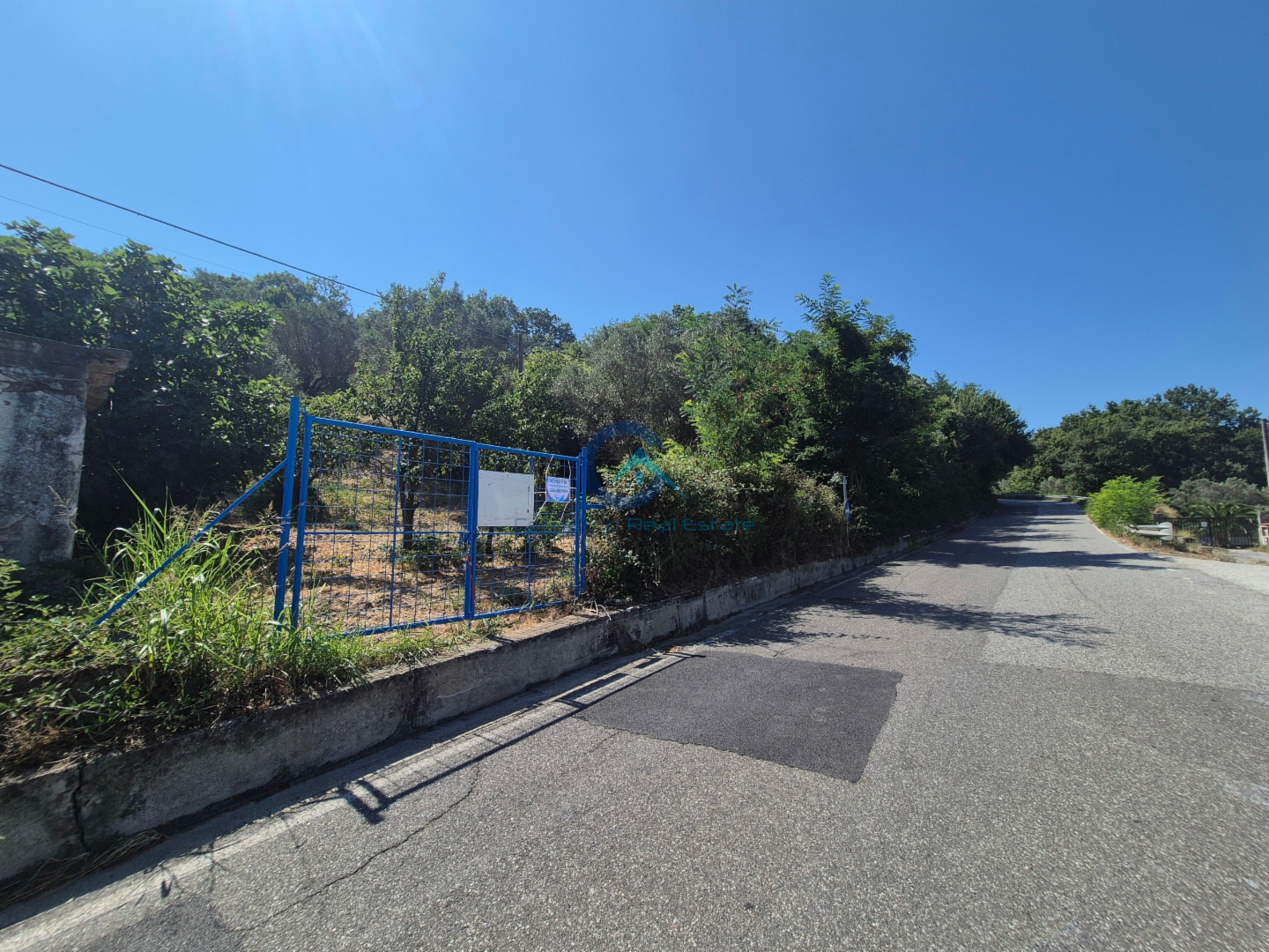 immagine annuncio 5 di 6