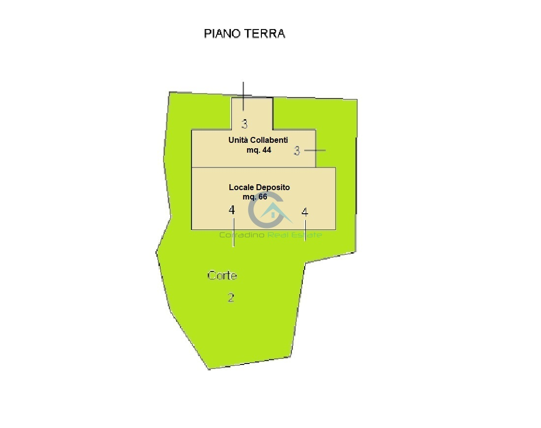 immagine annuncio 6 di 10