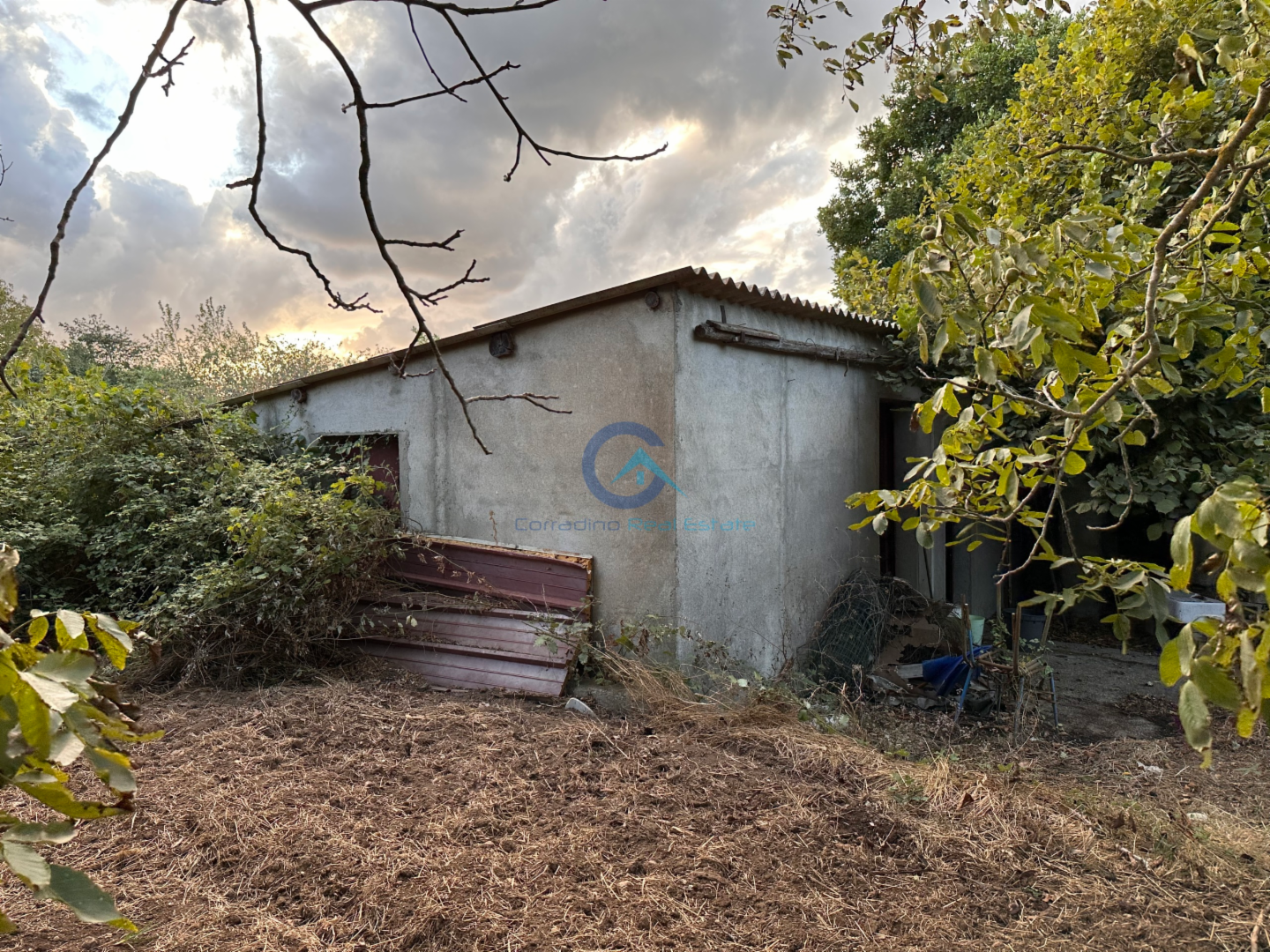 immagine annuncio 1 di 9