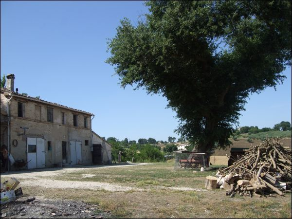 immagine annuncio 1 di 4