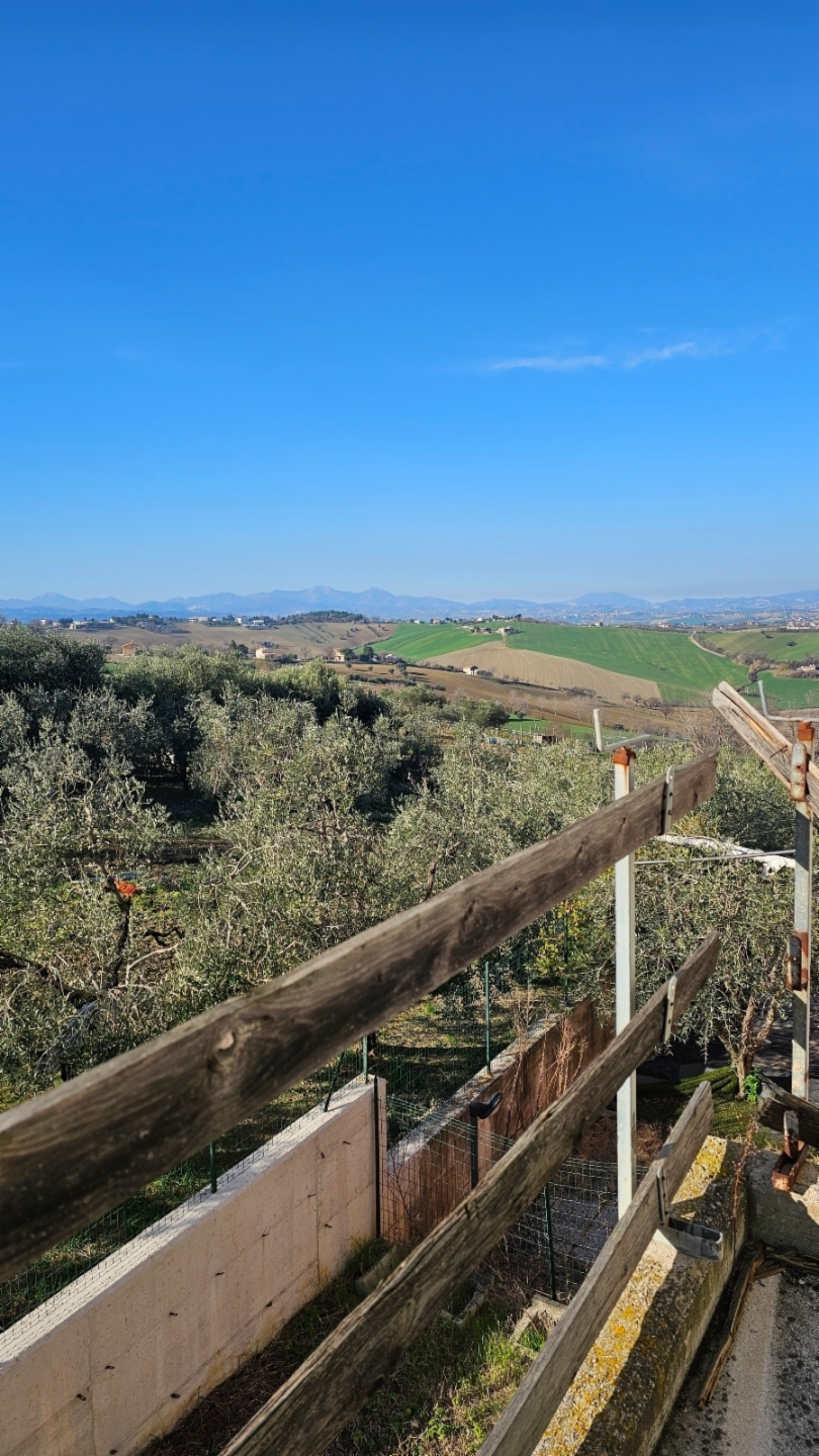 immagine annuncio 3 di 4