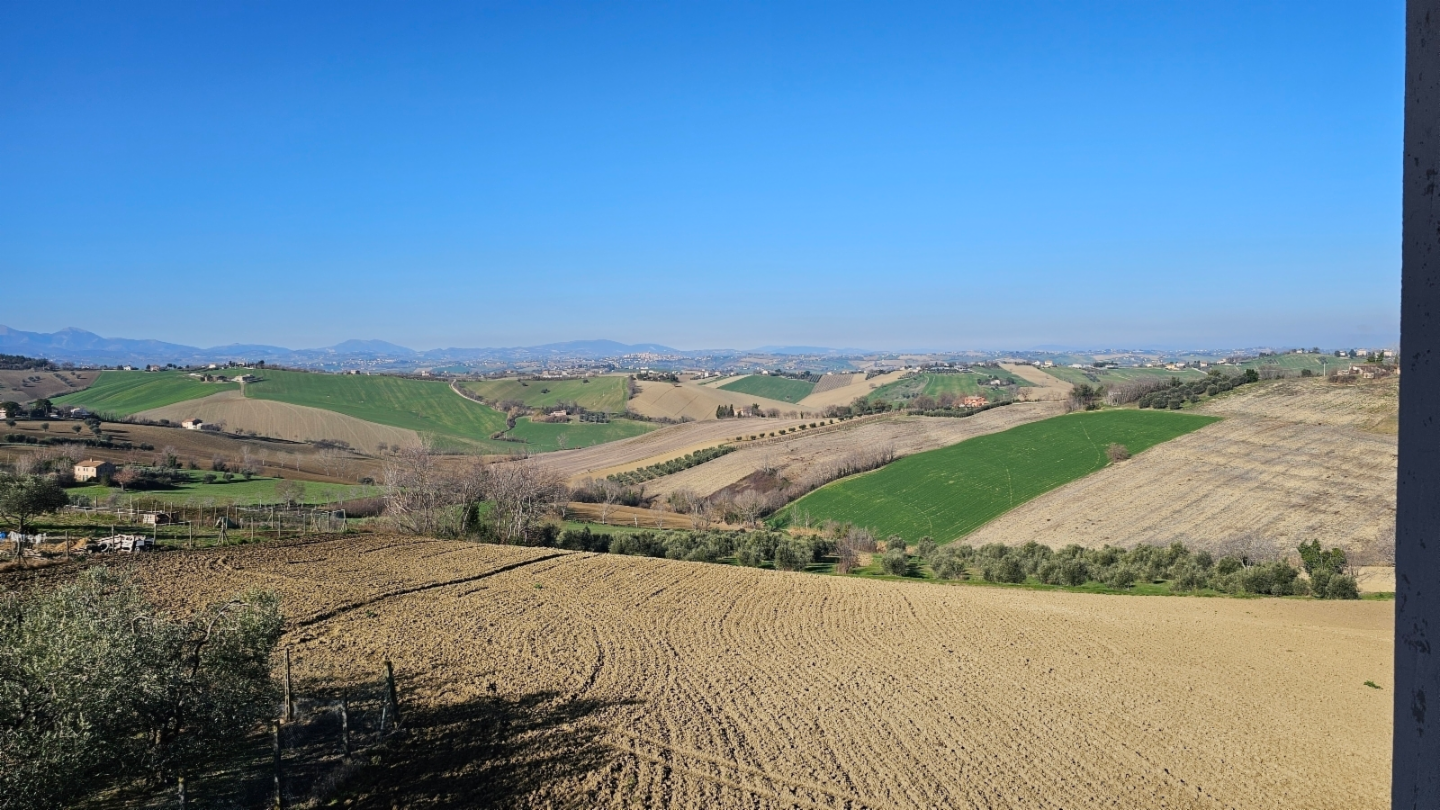 immagine annuncio 1 di 4