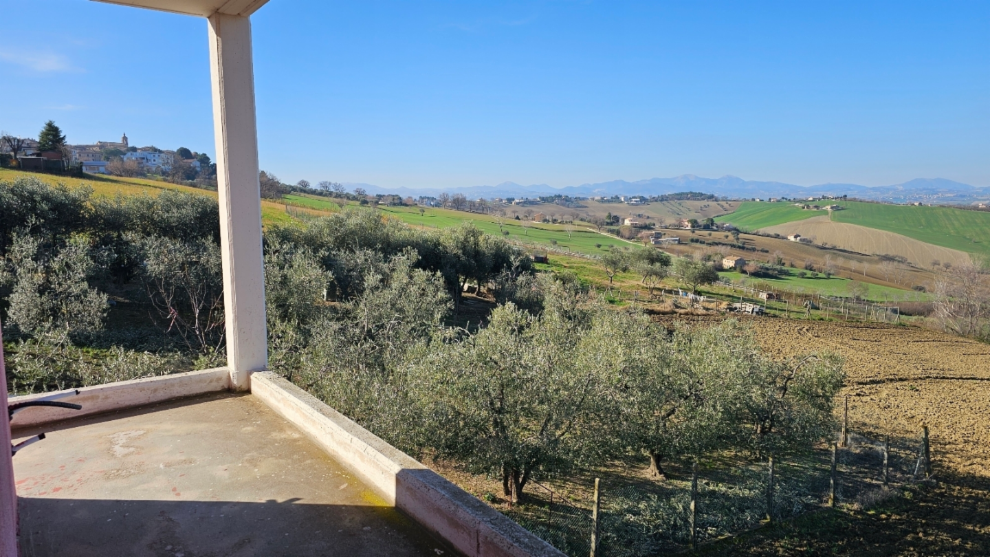 immagine annuncio 2 di 4