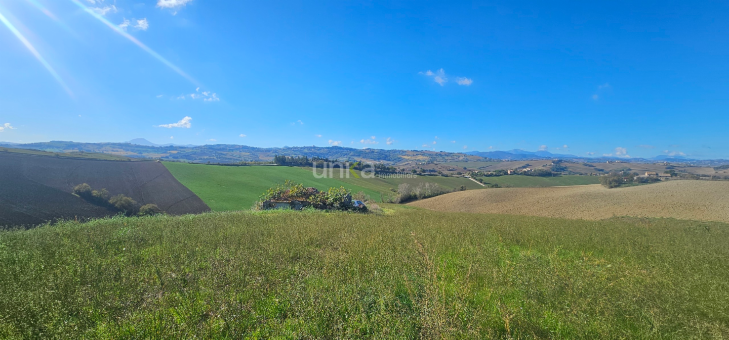 immagine annuncio 1 di 4