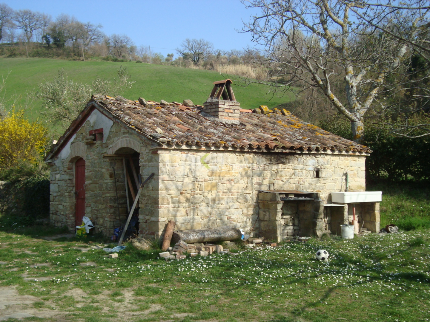 immagine annuncio 9 di 10