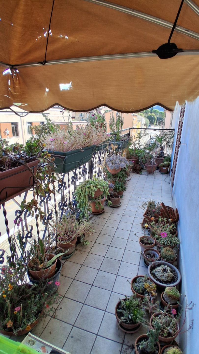 immagine annuncio 7 di 8