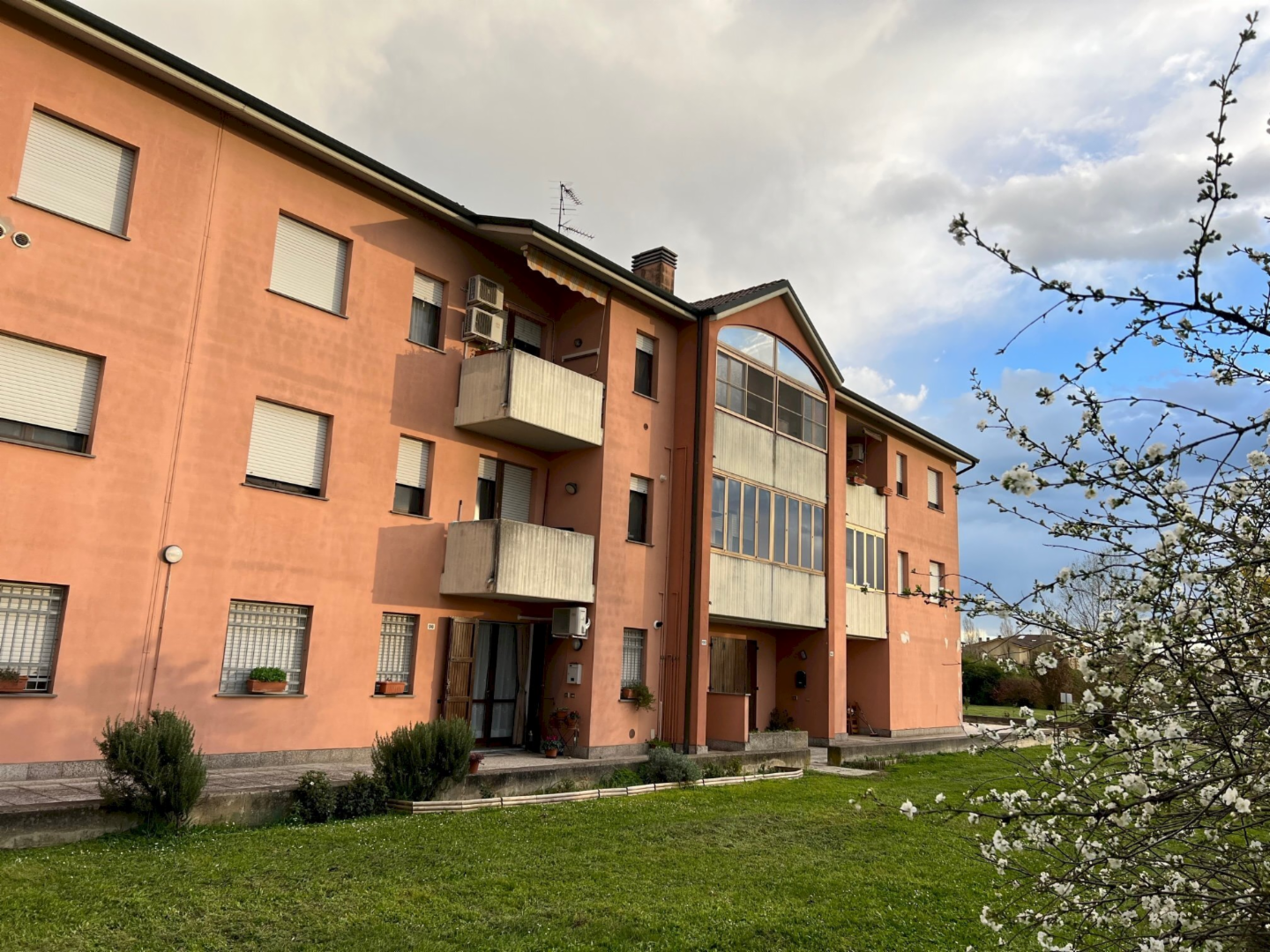 immagine annuncio 1 di 10