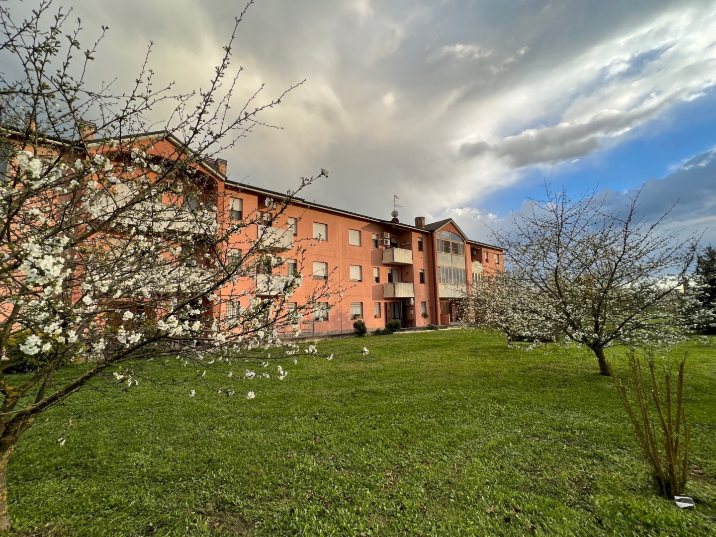 immagine annuncio 2 di 10