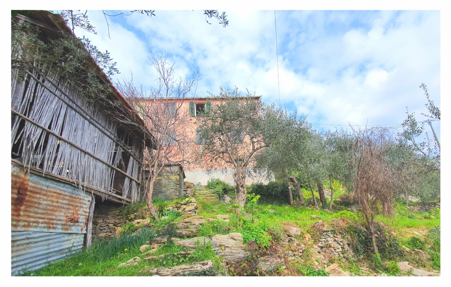 immagine annuncio 8 di 10