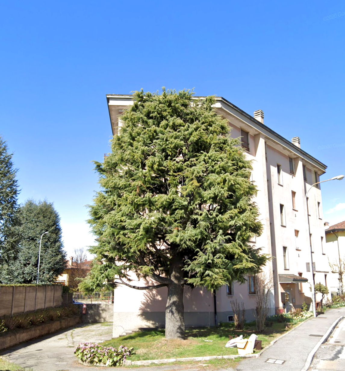 immagine annuncio 7 di 10