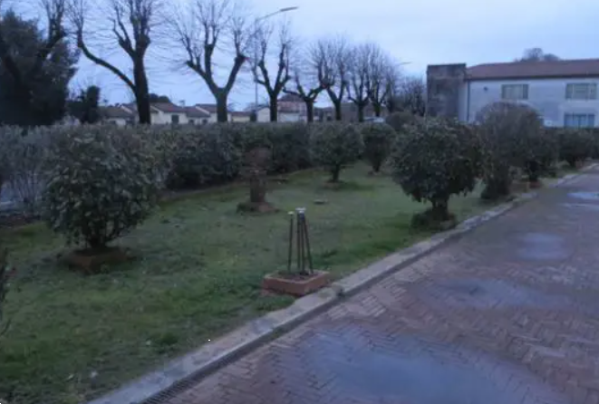 immagine annuncio 8 di 10