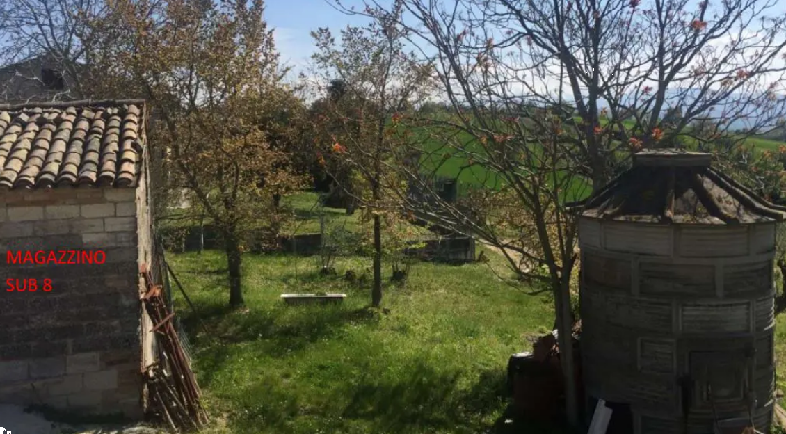 immagine annuncio 9 di 10