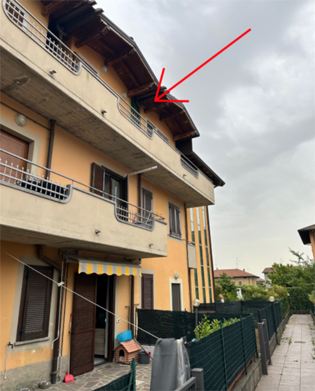 immagine annuncio 2 di 10