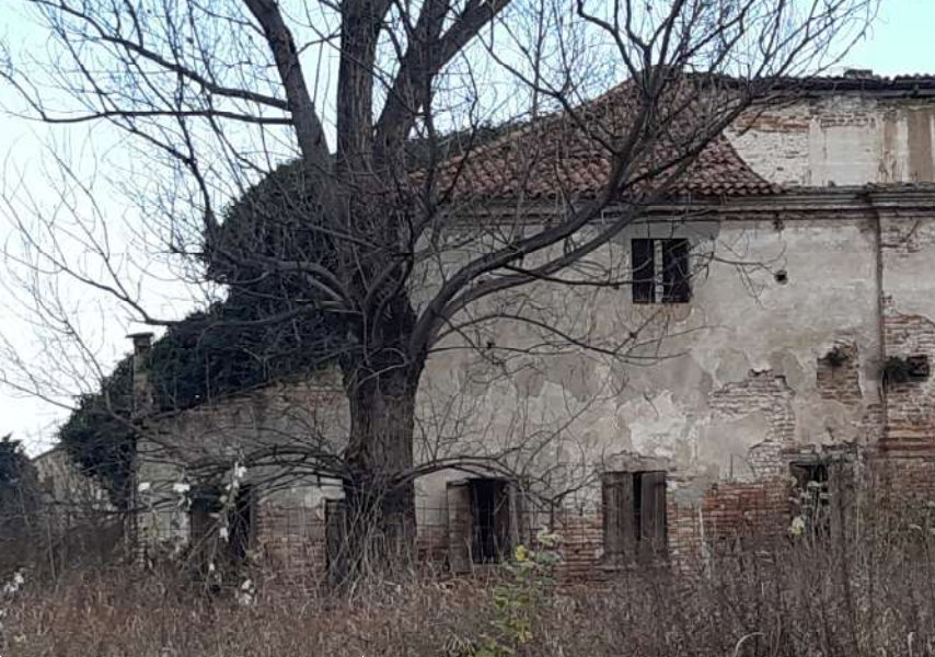 immagine annuncio 6 di 10