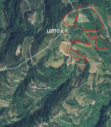 immagine annuncio 1 di 10
