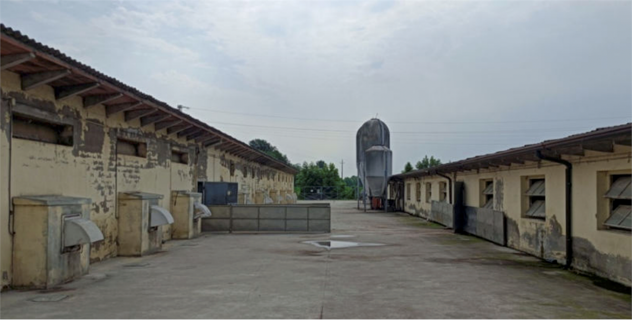 immagine annuncio 8 di 10