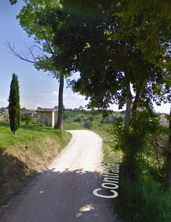 immagine annuncio 6 di 10