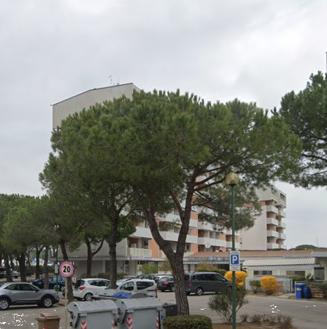 immagine annuncio 7 di 10
