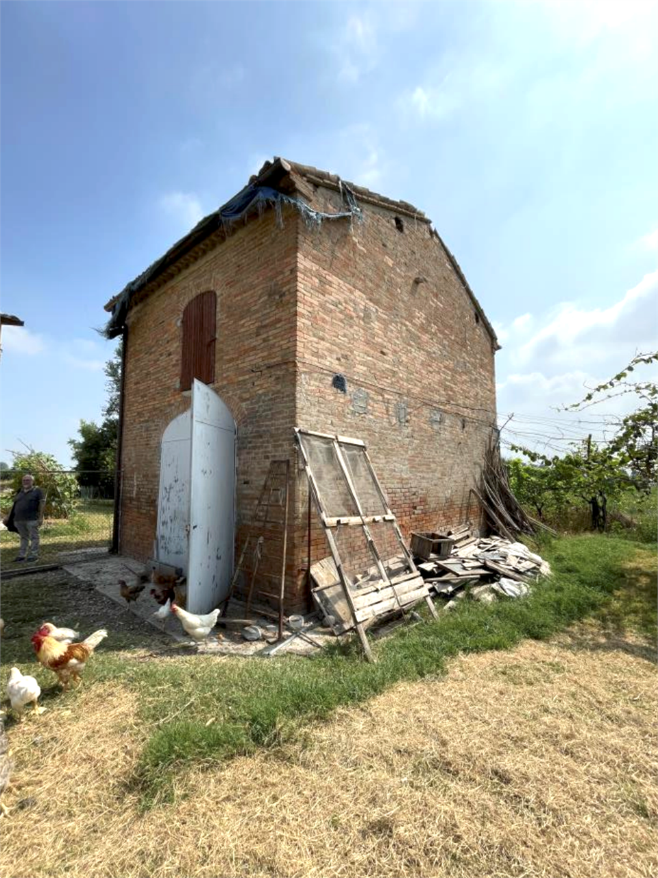 immagine annuncio 1 di 10