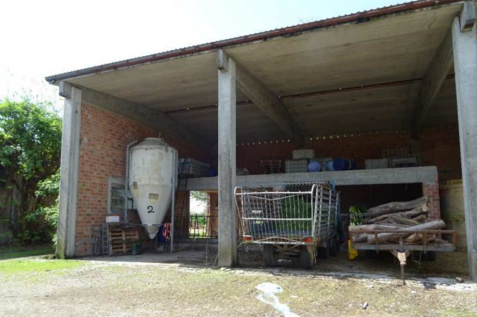 immagine annuncio 6 di 10