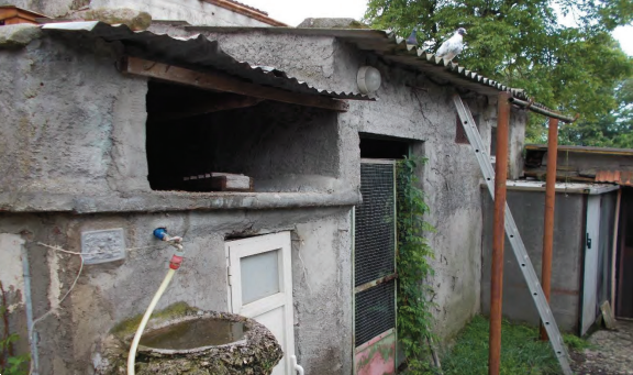 immagine annuncio 2 di 10