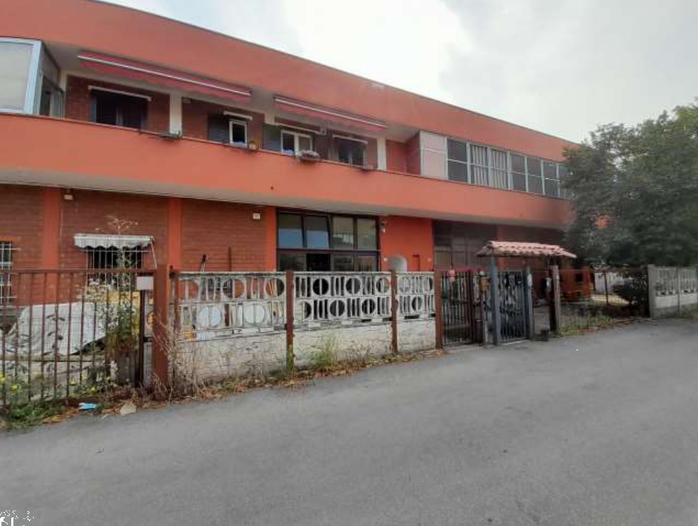 immagine annuncio 1 di 10