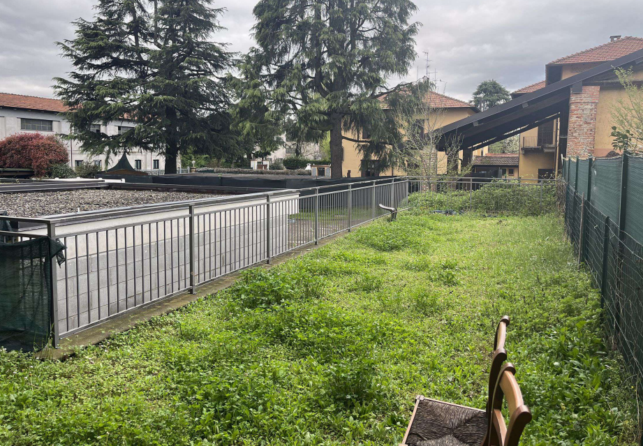 immagine annuncio 4 di 10